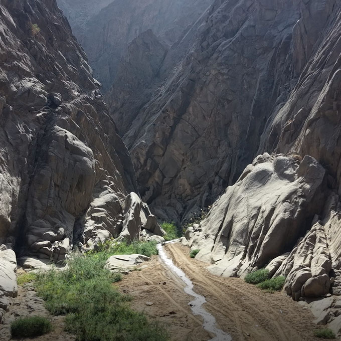 Aerial photography of the palm groves within the narrow canyon walls of Wadi Tayyib al Ism