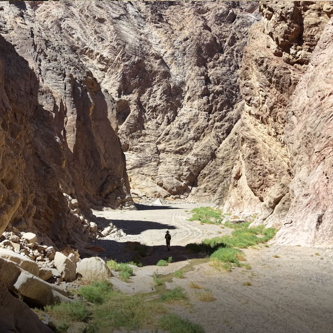 Lush vegetation and hanging gardens deep within the Wadi Tayyib al Ism canyon