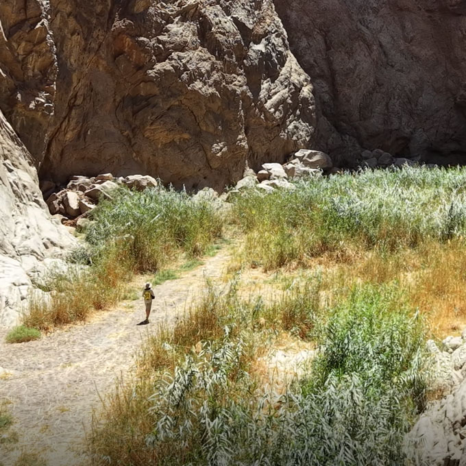 Reed beds and wetland habitat in the sheltered canyon of Wadi Tayyib al Ism